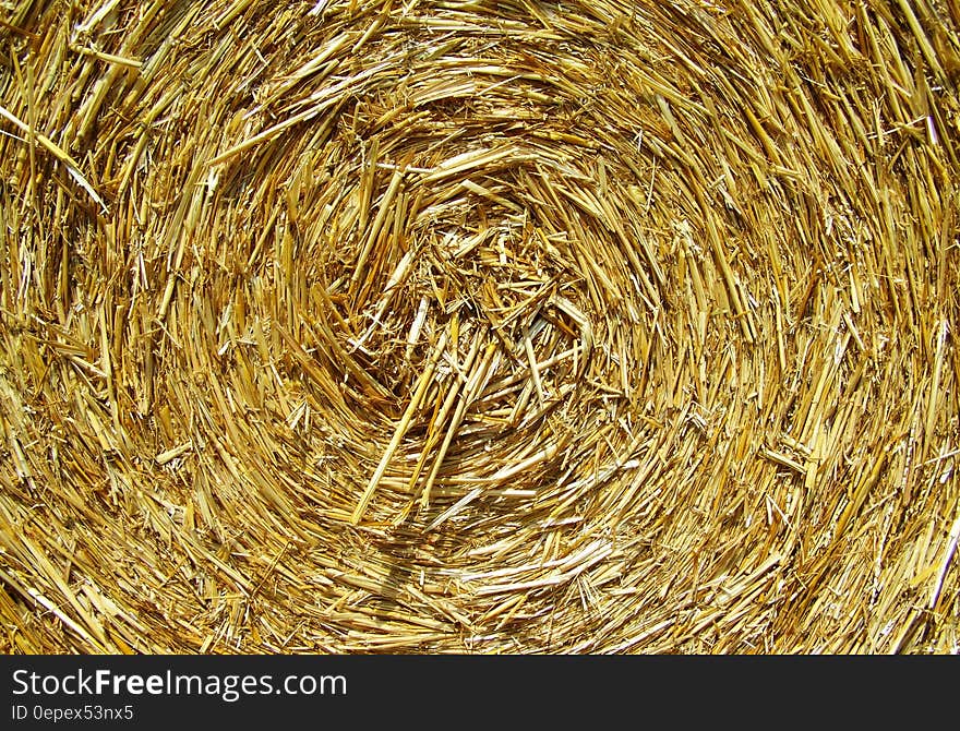 Brown Rolled Hay