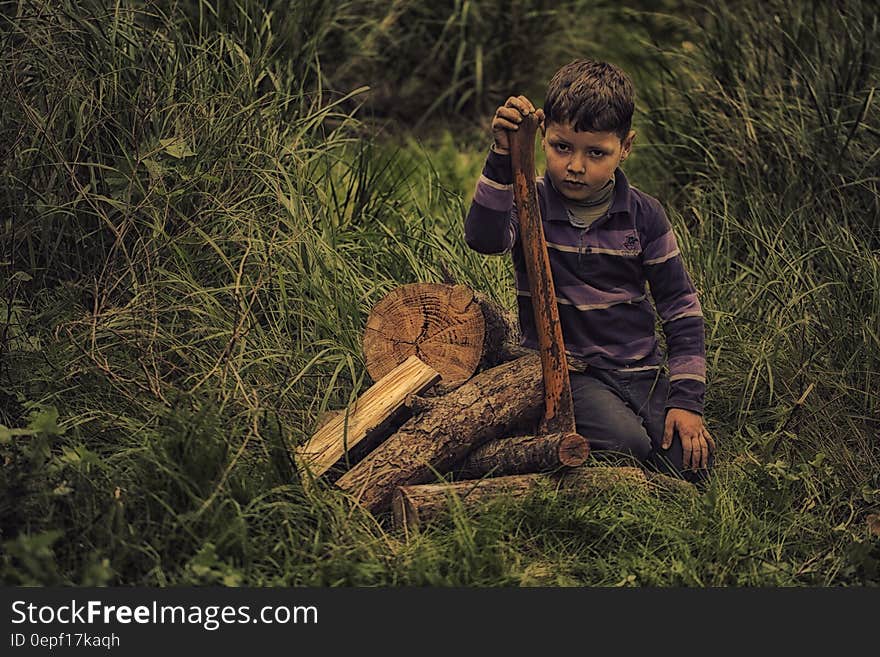 Boy in Purple Stripe Print Long Sleeve Shirt Holding Wooden Rod on Green Grass Field