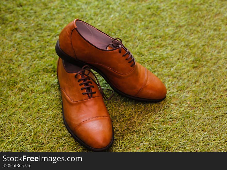 Men&#x27;s Brown Leather Boat Shoes over Green Grass