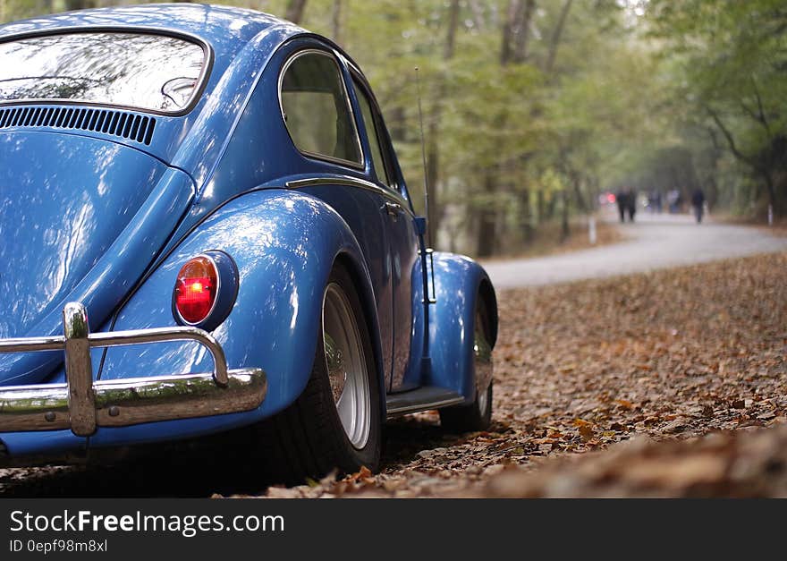 Blue Volkswagen Beetle Vintage Car Surrounded by Dry Leaves during Daytime