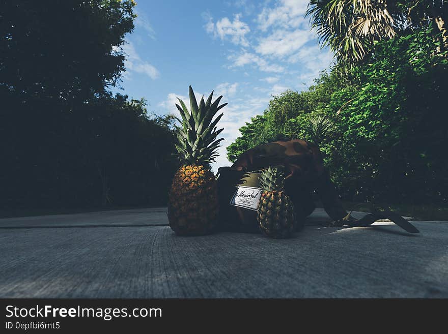 Pineapples Beside Backpack