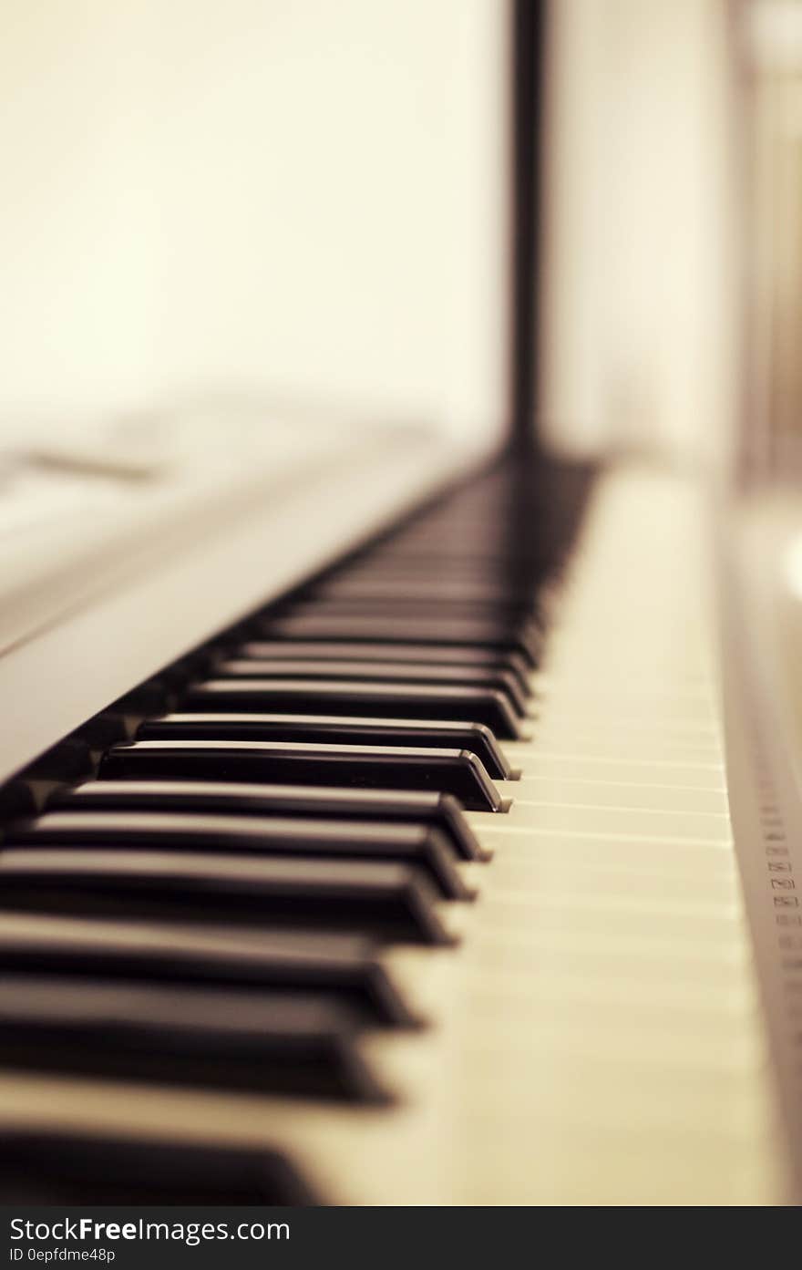 Macro Photo of Piano Keys