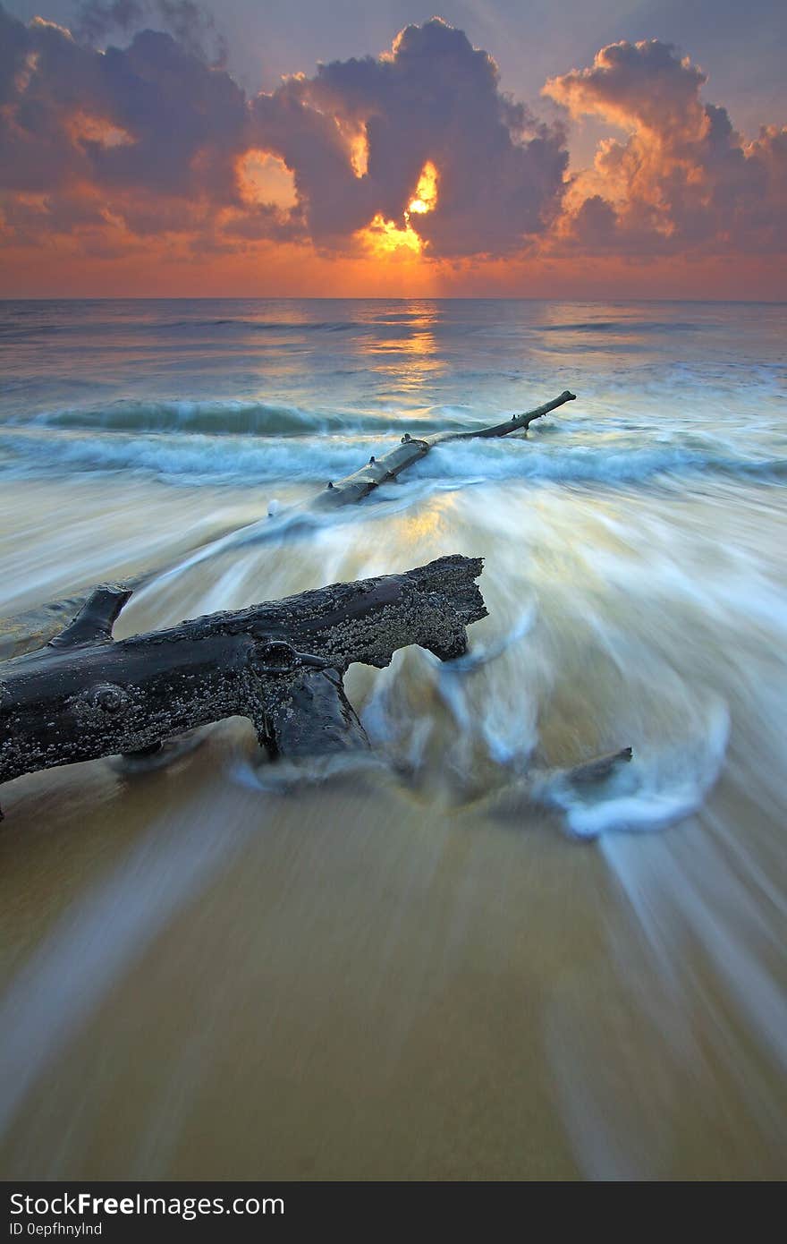 Black Wood Branch in Beach Across Wavy Sea during Sunset