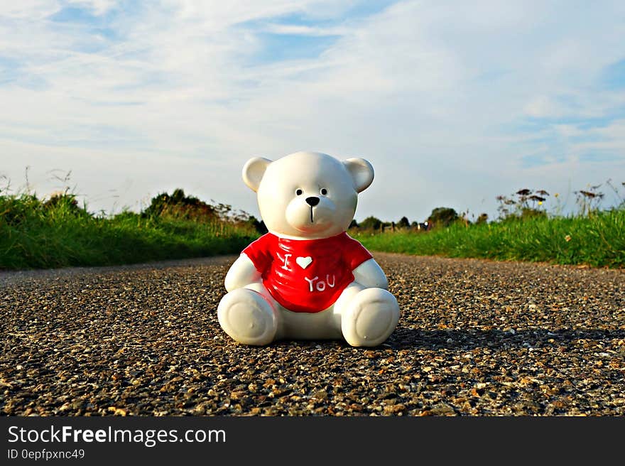 Ceramic teddy bear in red shirt on stone road outdoors on sunny day. Ceramic teddy bear in red shirt on stone road outdoors on sunny day.