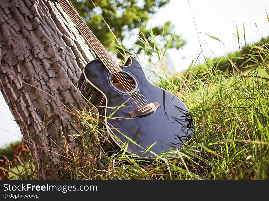 Black Acoustic Cutaway Guitar on Tree