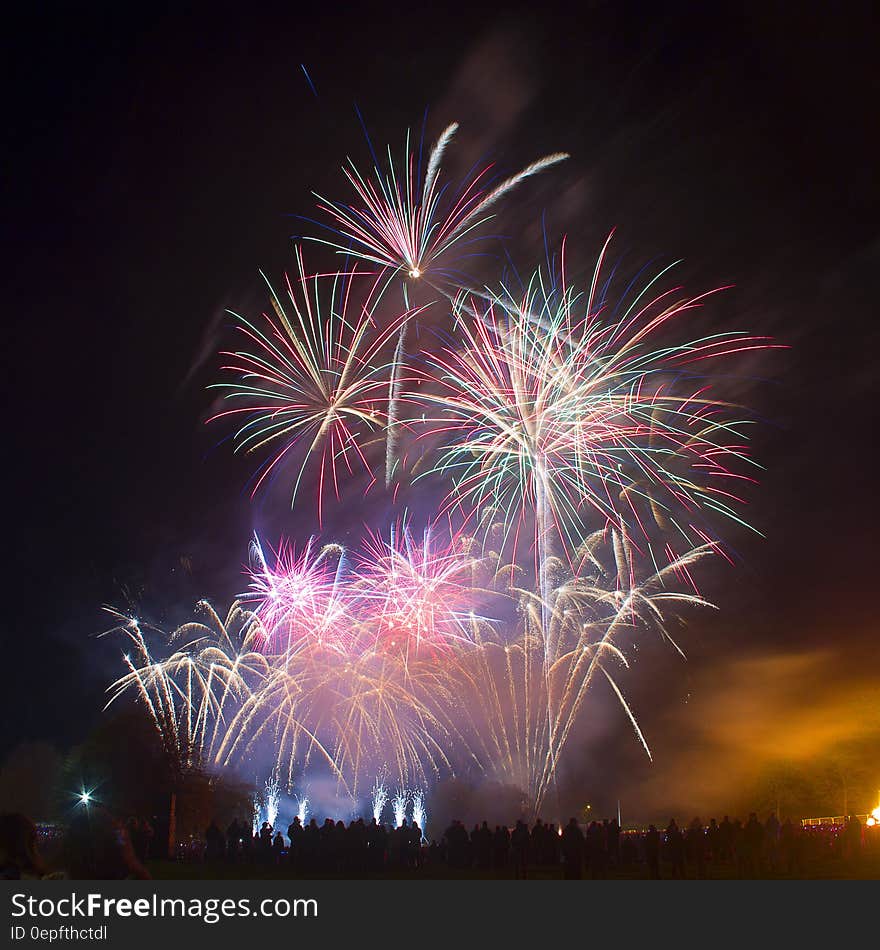 Colorful firework display in night sky. Colorful firework display in night sky.