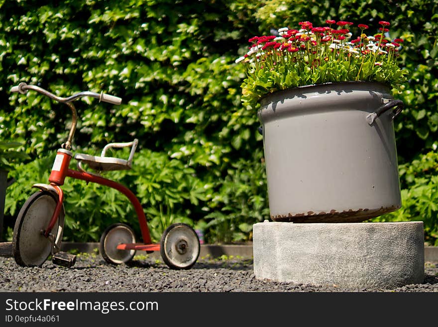 Kid's tricycle next to potted flowers in sunny garden. Kid's tricycle next to potted flowers in sunny garden.