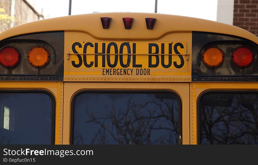 Back of school bus on sunny streets.