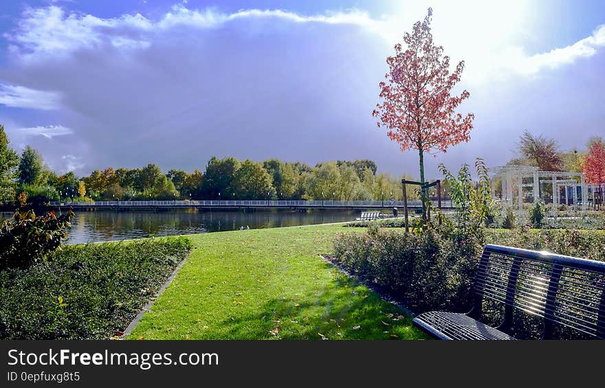 Black Metal Bench on Grassy Garden