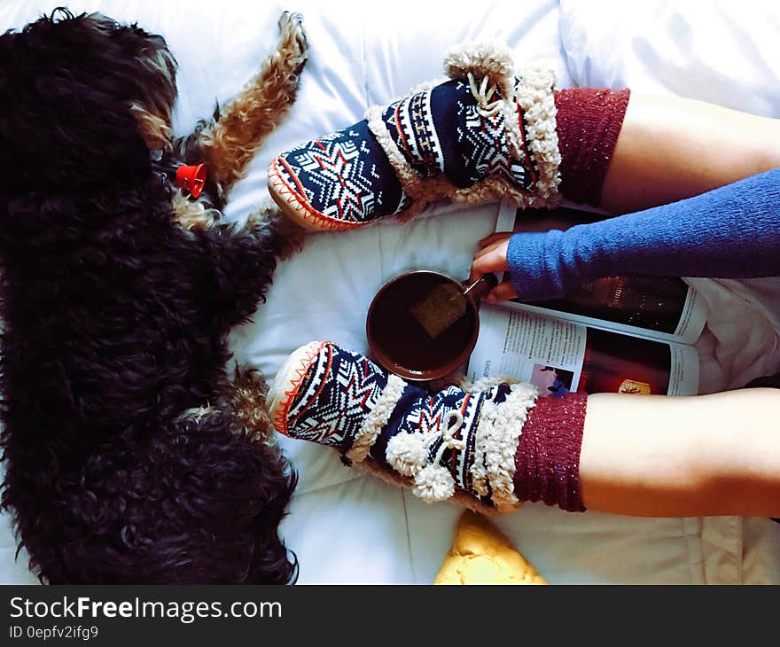 Black dog on bed nest to feet of child in warm winter socks holding mug reading book. Black dog on bed nest to feet of child in warm winter socks holding mug reading book.