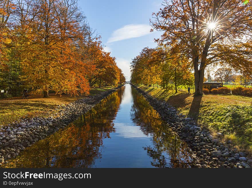 River Between Brown Leafed Trees during Daytime