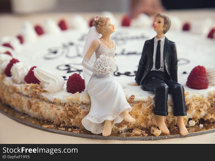 Figurines of bride and groom on wedding cake. Figurines of bride and groom on wedding cake.