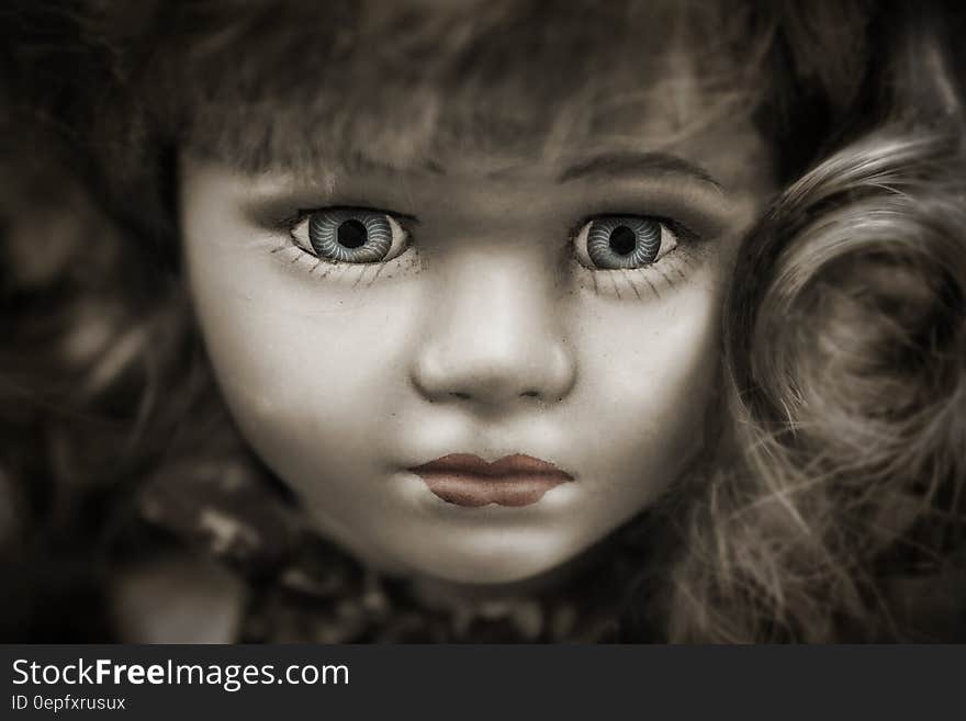 Doll With Grey Eyes and Brown Hair