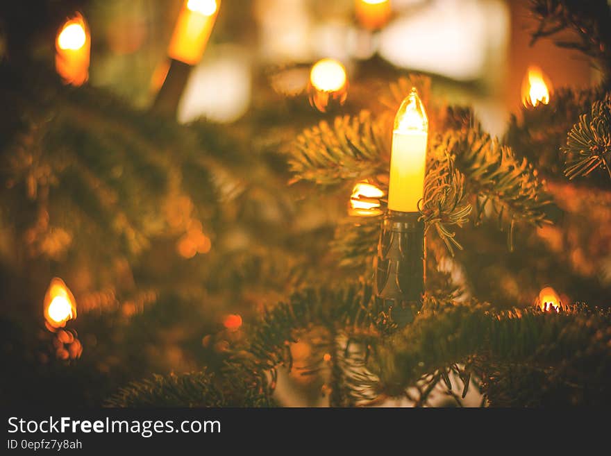 A Christmas tree with electric candle lights. A Christmas tree with electric candle lights.