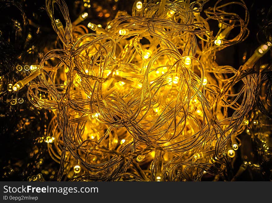 Close-up of Yellow Christmas Lights