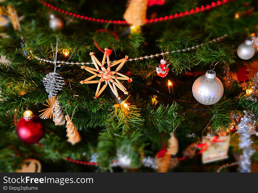 Close-up of Christmas Decoration Hanging on Tree