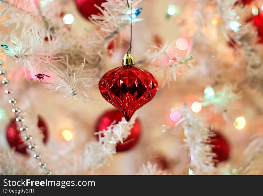 Close-up of Christmas Decoration Hanging on Tree