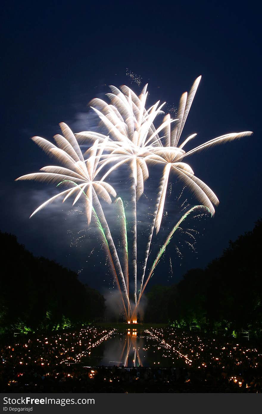 Fireworks Display during Nighttime