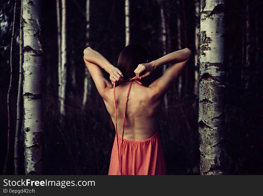 Woman Wearing Pink Halter Dress Standing Beside Grey Trees