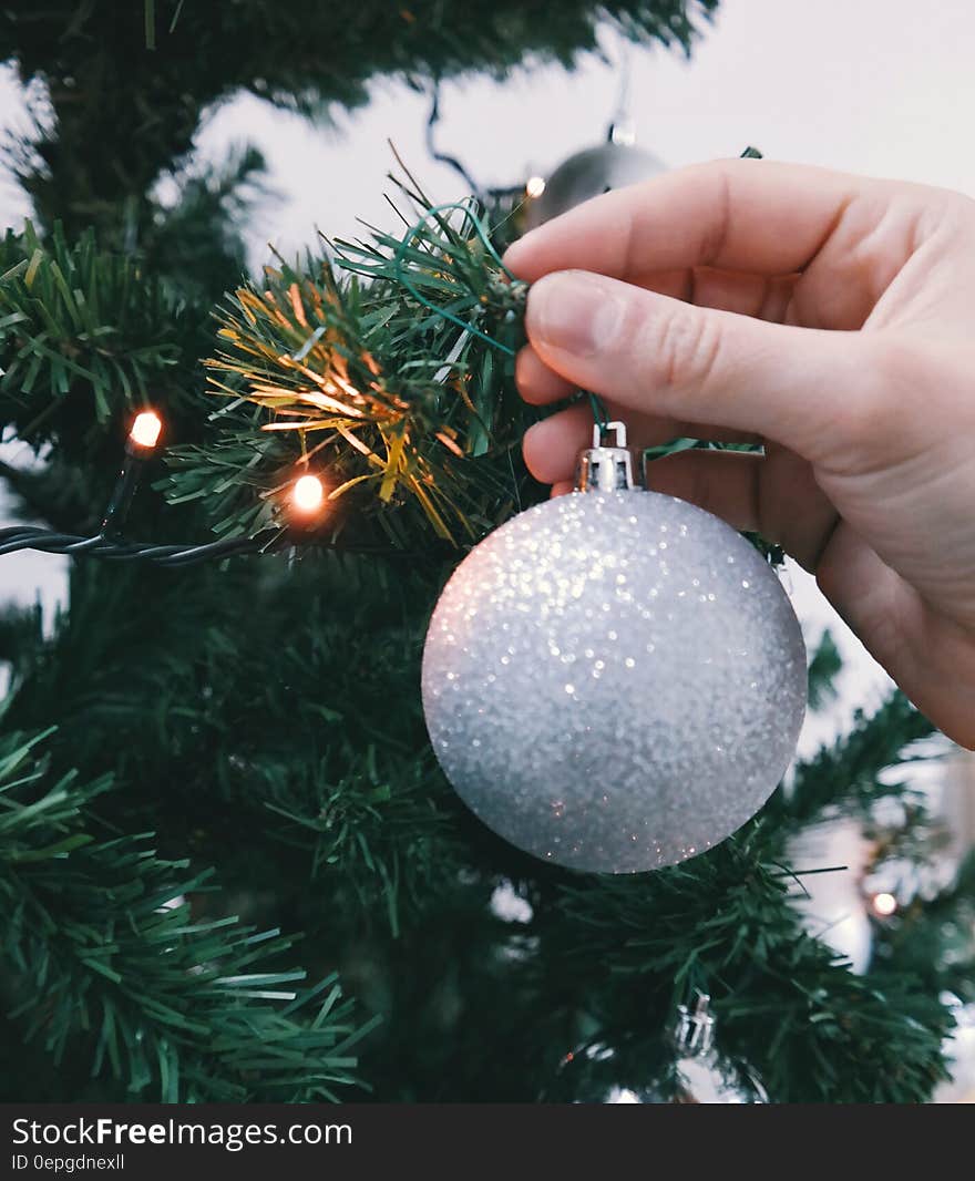 Close up of hand hanging white sparkling Christmas ball on tree. Close up of hand hanging white sparkling Christmas ball on tree.