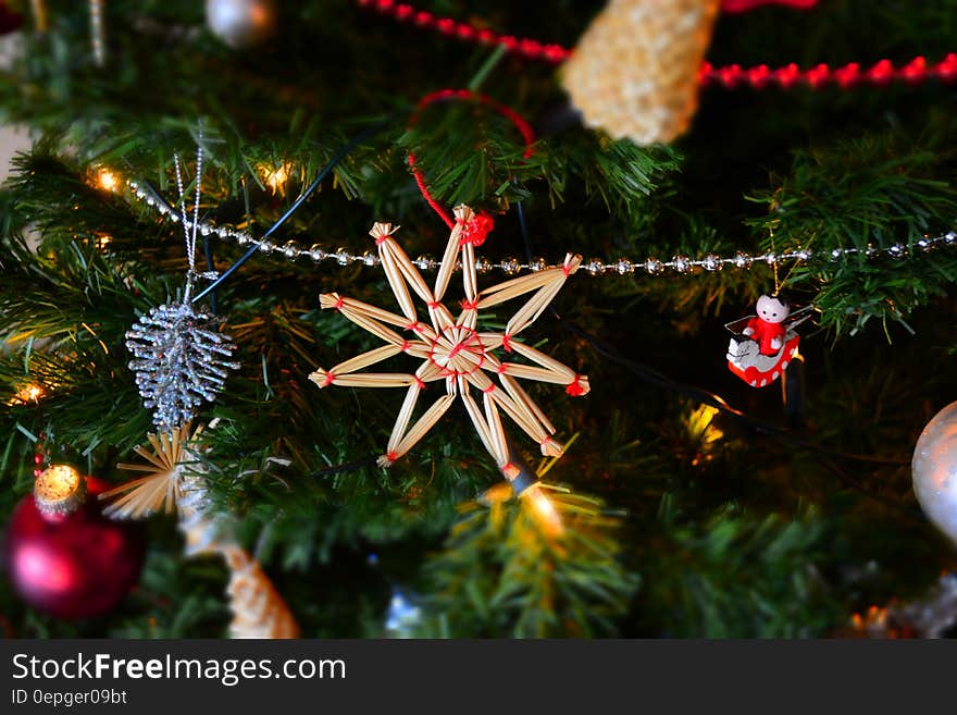 Close-up of Christmas Tree at Night