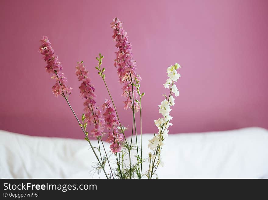 Decorative pink and white flowers and pink wall in the background.