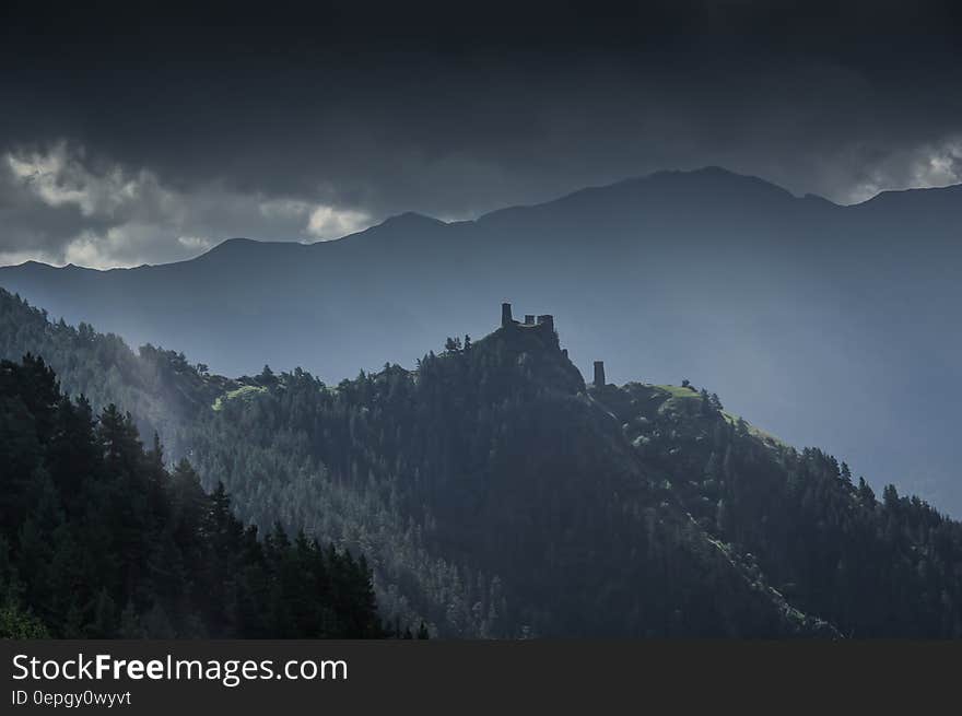 Landscape Photography of Forest Mountain