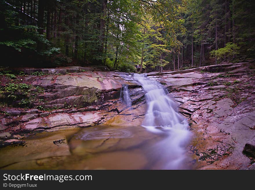 Stream in Middle of Woods