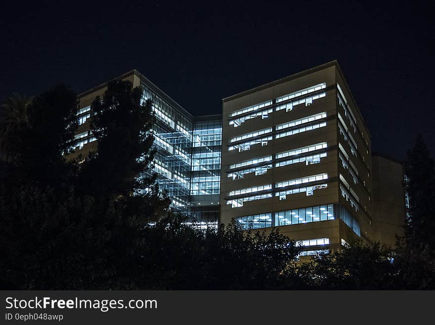 Silhouette of Trees Near Buildings