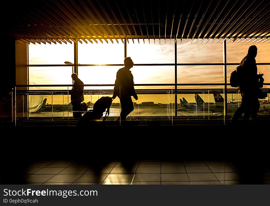 Silhouette of Person in Airport