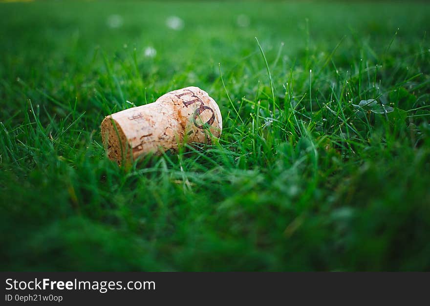 Close up of wine cork on green grass in sunny field.