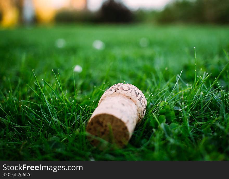 Cork from Champagne bottle with selective focus lying in uncut grass (lawn), mainly green background.