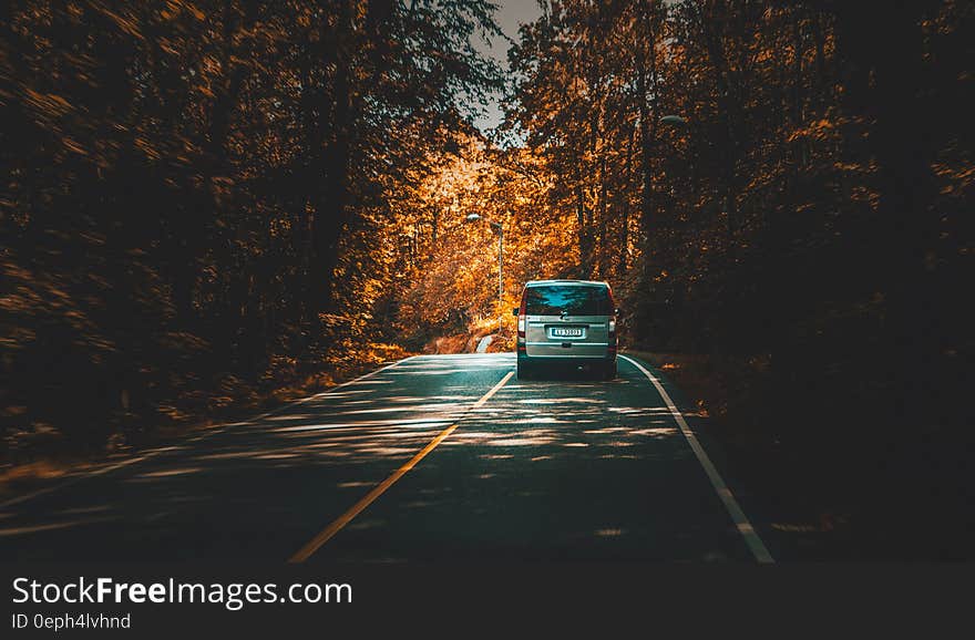 Silver Van Traveling on Highway Lined With Trees during Daytime