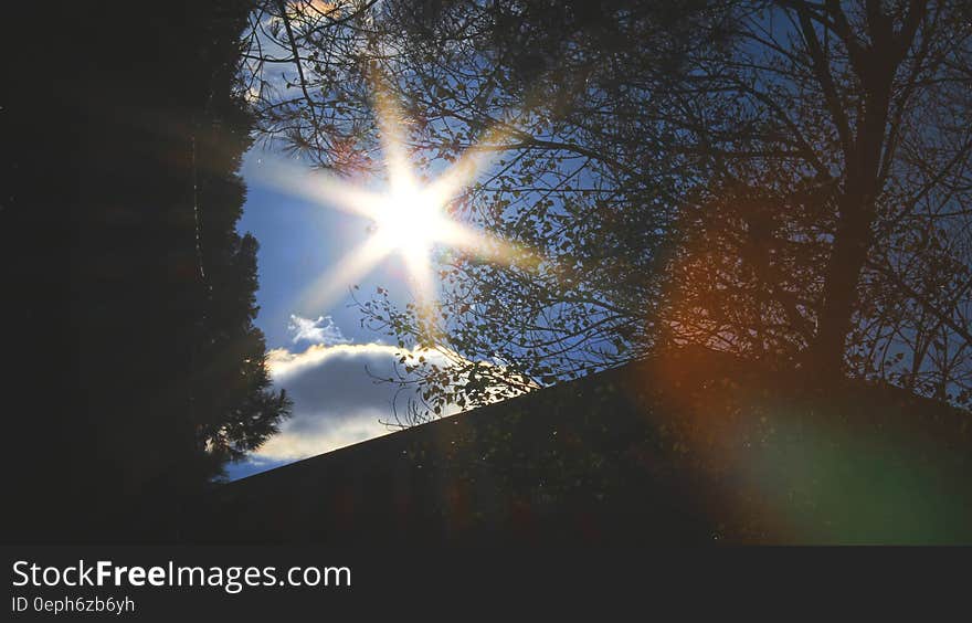 Sun burst in blue skies through autumn trees. Sun burst in blue skies through autumn trees.