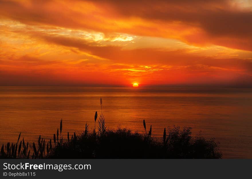 Hays Silhouette Near Ocean during Sunset