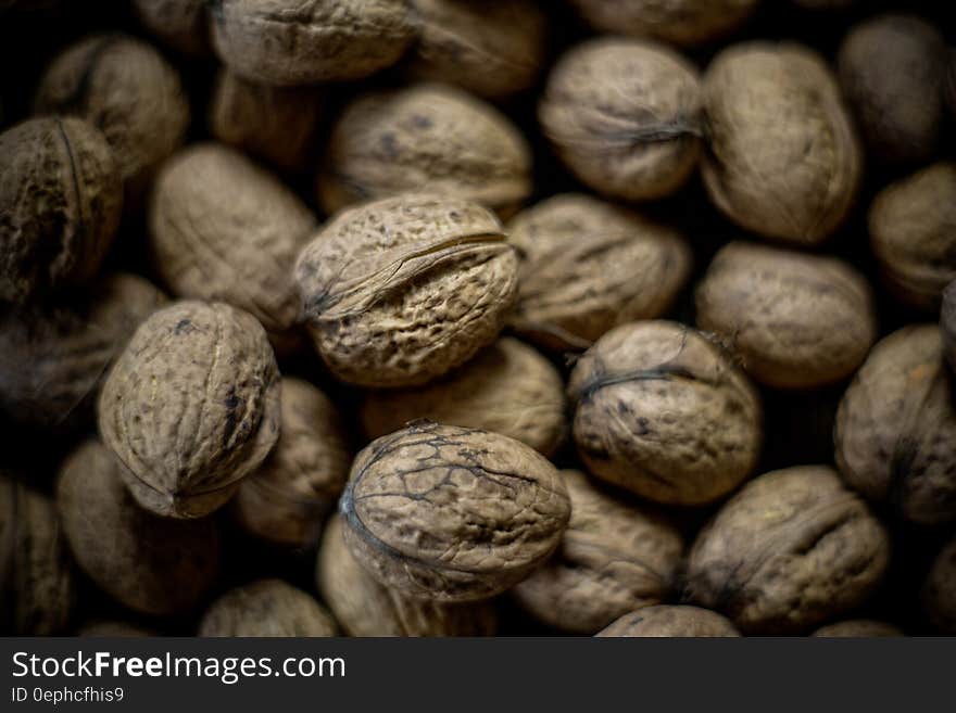 Macro Shot of Brown Nut