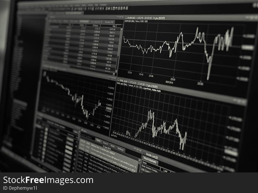 Charts for financial or stock trading software on computer screen in black and white. Charts for financial or stock trading software on computer screen in black and white.