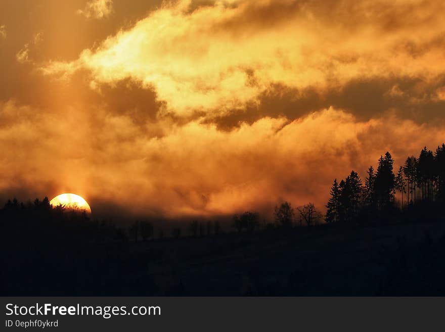 Silhouette Photo of Trees during Sunset