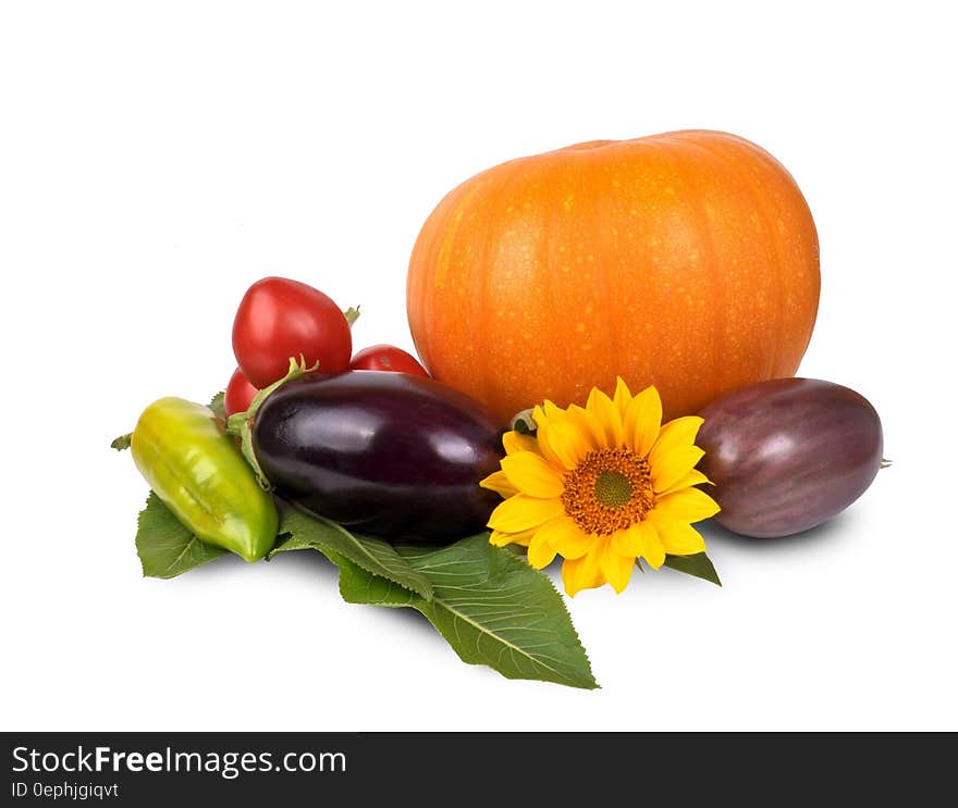 Orange Pumpking Purple Eggplant and Sunflower