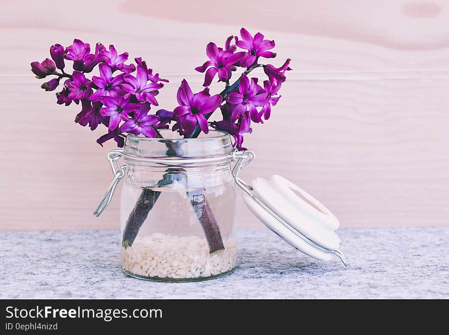 Purple Petal Flower on Bottle