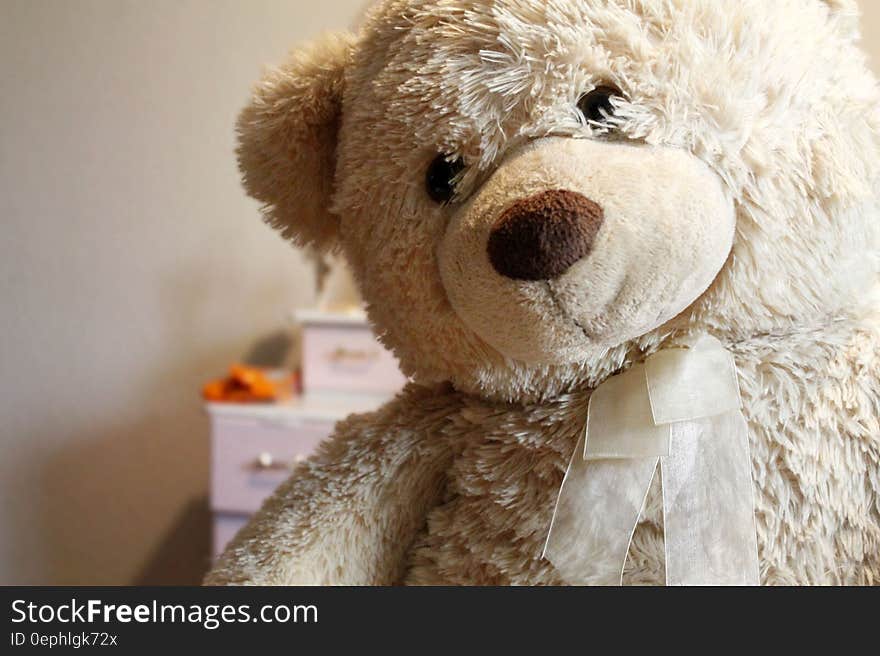 Closeup of cuddly teddy bear with soft brown nose and beady eyes and ribbon tied around his neck, kept in bedroom with white drawers.