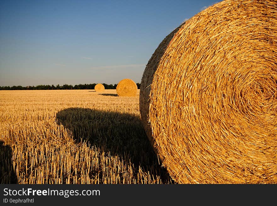 Rolls of Hay in the Field