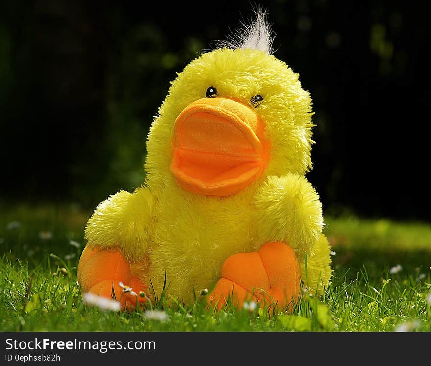 Yellow Plush Duck Toy