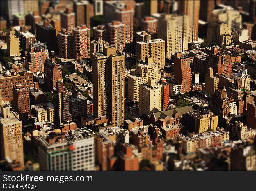 Brown and White Buildings