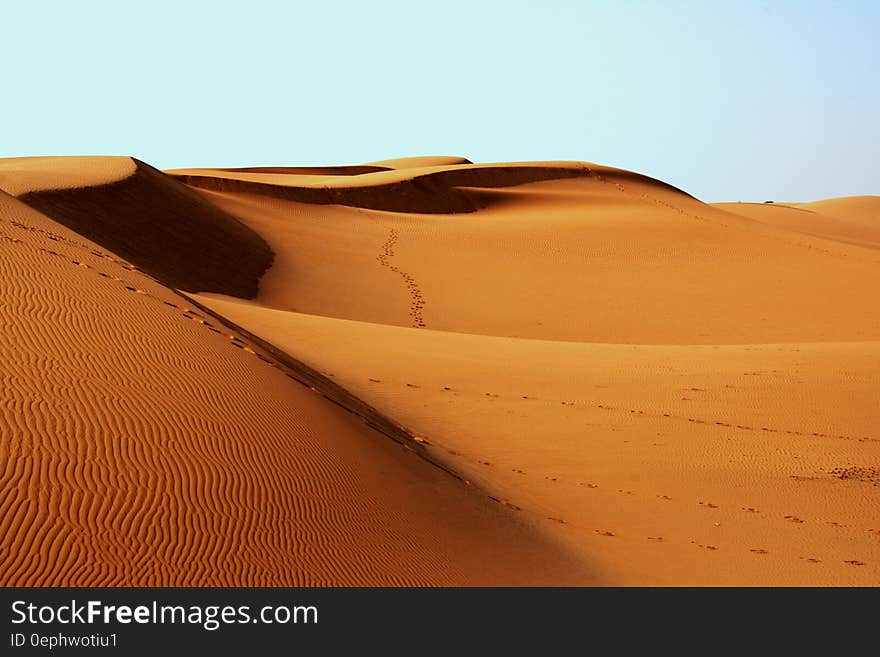 Landscape Photography of Desert