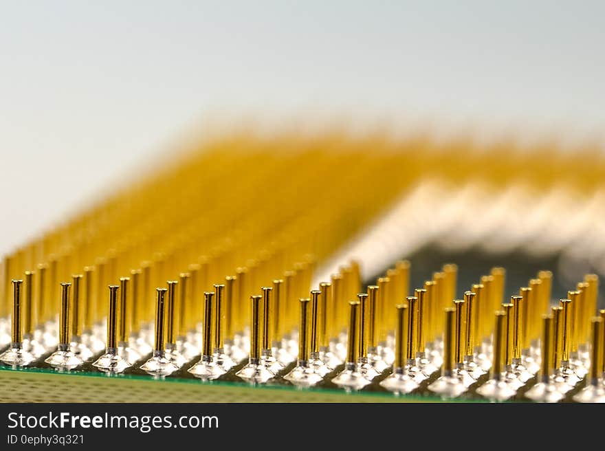 Macro Photography of Processor Pins