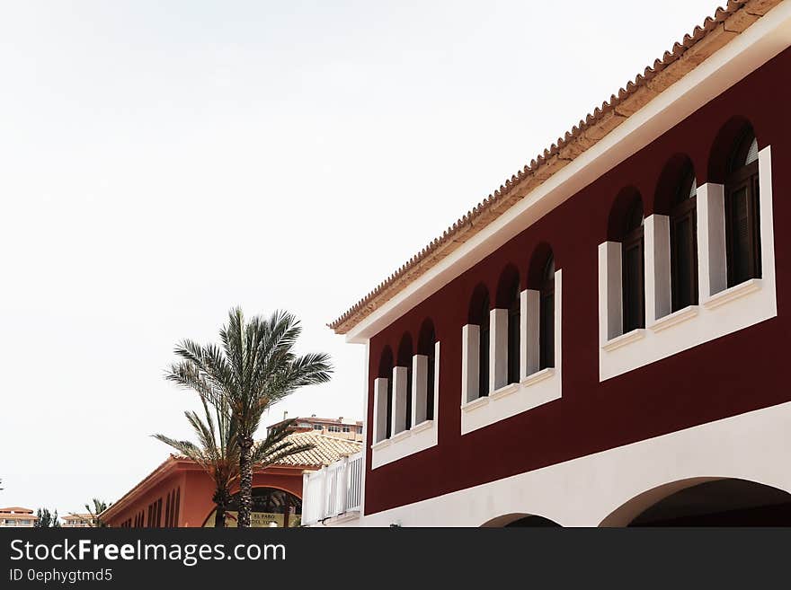 A Spanish style house with arched windows and a palm tree next to it.