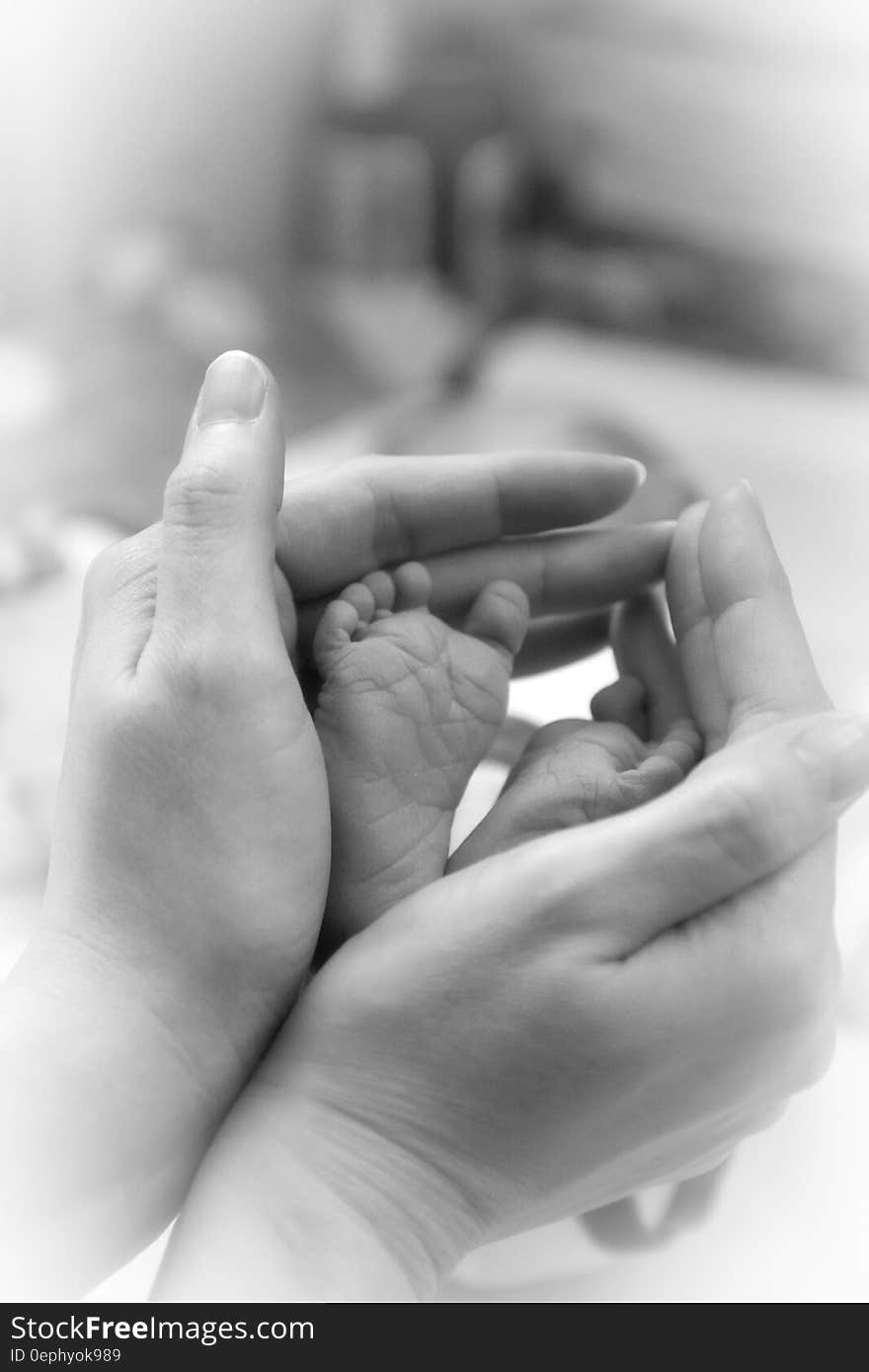 Hand Holding Feet of Baby