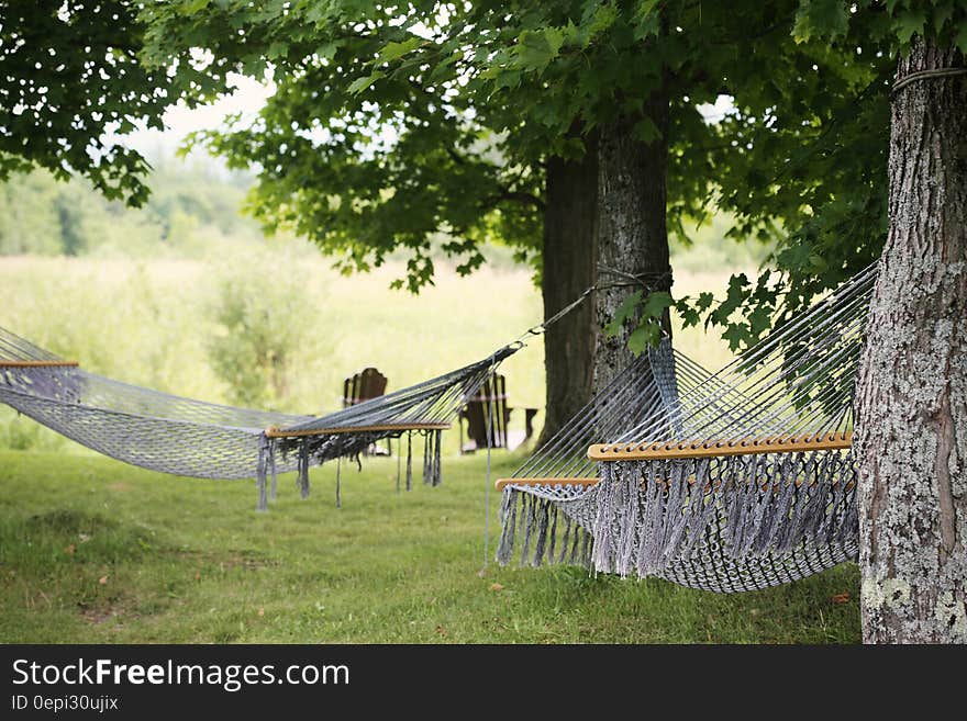 A pair of hammocks between the trees on the countryside. A pair of hammocks between the trees on the countryside.