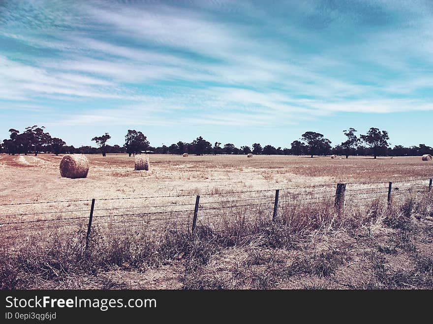 Scenic view of hay bales in countryside field with blue sky and cloudscape background.